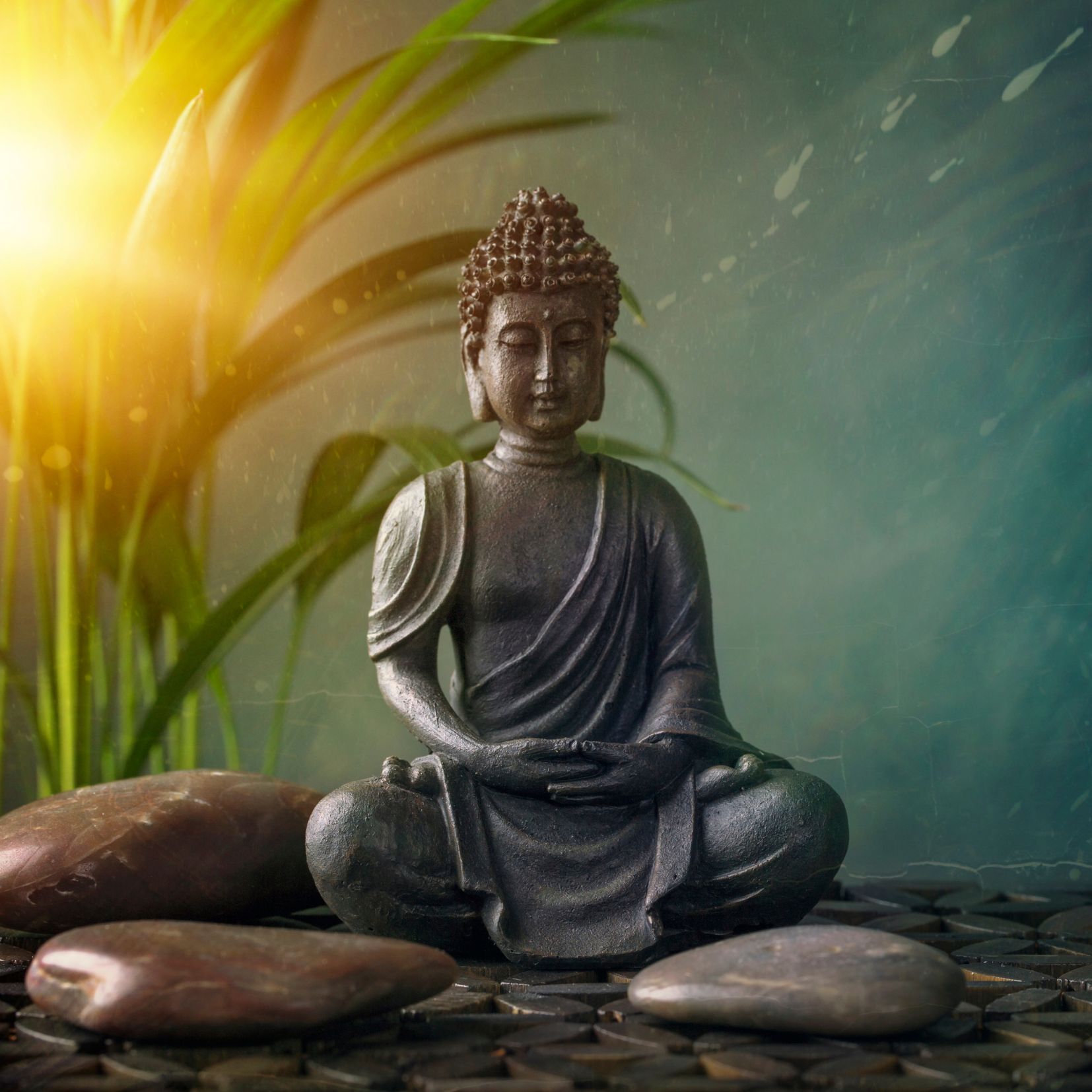 Exploring Vipassana Meditation: A Path to Inner Peace